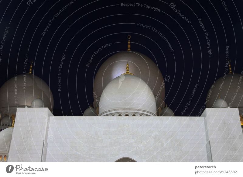 1001 night 1 Vacation & Travel Sightseeing Abu Dhabi Mosque Domed roof Esthetic Exotic Large Round Emotions Passion Beautiful Belief Humble Design Elegant Hope