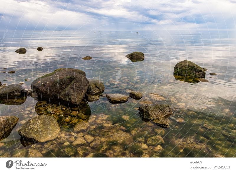 Baltic Sea coast on Rügen Relaxation Vacation & Travel Beach Nature Landscape Clouds Rock Coast Ocean Tourist Attraction Stone Gray Romance Idyll Baltic coast