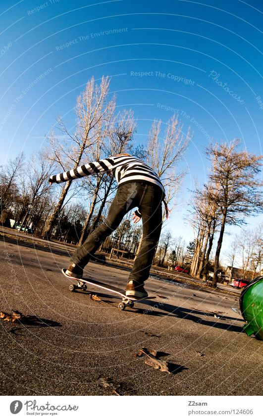 LANDING Skateboarding Keg Tree Summer Green Tar Leaf Driving Contentment Funsport Human being Parking level arise stiffened Jeans Blue Sky Back Tilt