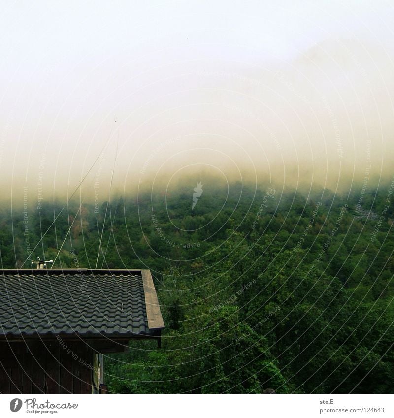 Ascension Cable car Clouds Bad weather Fog House (Residential Structure) Station Brick Roof Forest Peak Tree Green Ambiguous Eerie Sky Mountain Rope Tall Above