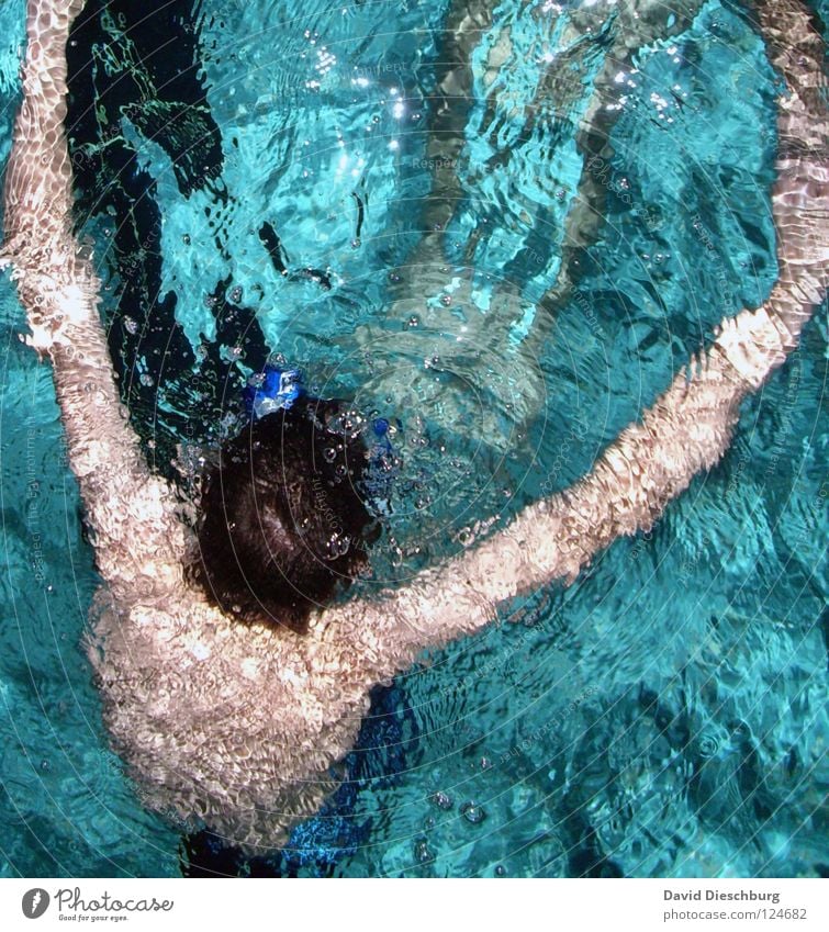 With arms open... Swimming & Bathing Swimming pool Surface of water Dive Bird's-eye view Turquoise Whirlpool 1 Person Individual Anonymous Unidentified