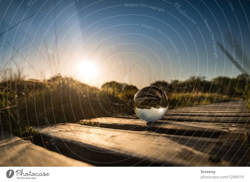 Worlds #11 Nature Landscape Plant Sky Cloudless sky Sun Sunrise Sunset Sunlight Spring Summer Beautiful weather Grass Moss High venn Eifel Glass ball