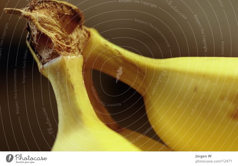 monkey cutlet Banana Yellow Close-up Fruit Macro (Extreme close-up) Detail Shadow Bowl