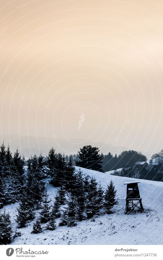 The snowy landscape rests still Environment Nature Landscape Plant Animal Winter Beautiful weather Ice Frost Snow Tree Meadow Field Forest Hill Mountain