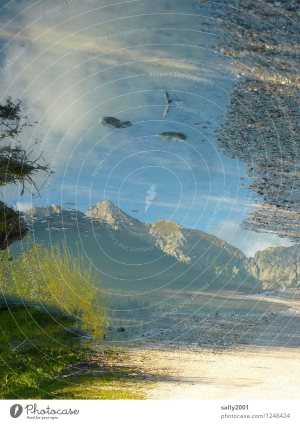 mountain in the mirror... Nature Earth Sunlight Beautiful weather Mountain Alps Peak Fluid Natural Bizarre Loneliness Idyll Dream Puddle Lanes & trails Stone