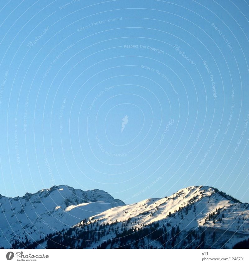 Swiss mountains Winter Cold White Forest Tree Azure blue Sky blue Canton Graubünden Switzerland Mountain Rescue Snow Blue Weather Prättigau Beautiful weather