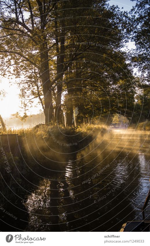 Spreedorado the early barge... Environment Nature Landscape Summer Beautiful weather Fog Plant Tree Grass Bushes River bank Exceptional Morning Morning fog