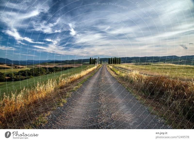 BY THE MIDDLE OF THE DAY. Allergy Vacation & Travel Tourism Far-off places Summer Summer vacation Agriculture Forestry Environment Nature Landscape Sky Clouds