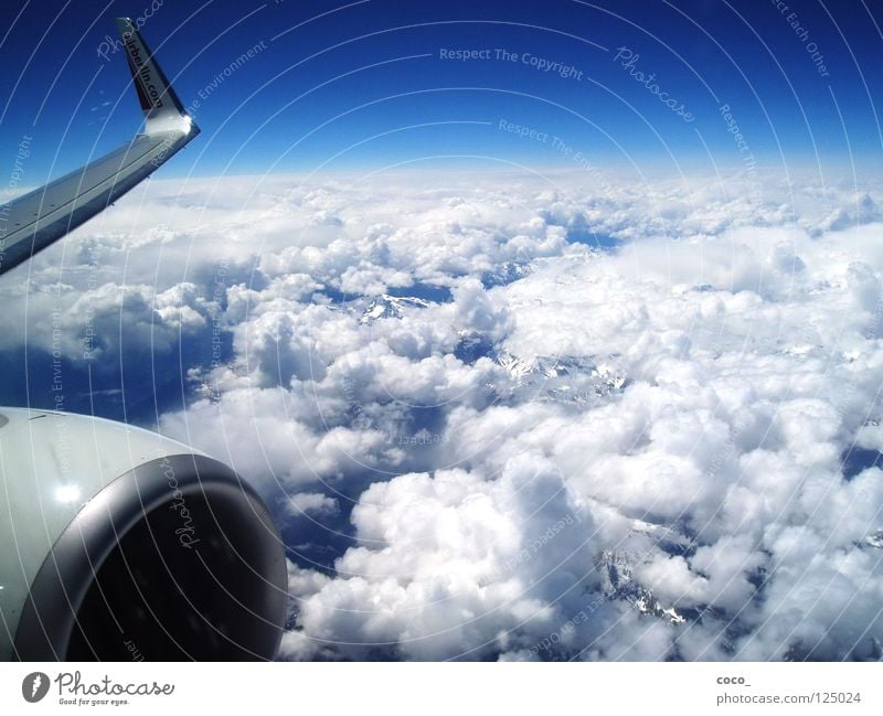 Freedom...!? Sicily Airplane Clouds Mountain Alps Flying Snow