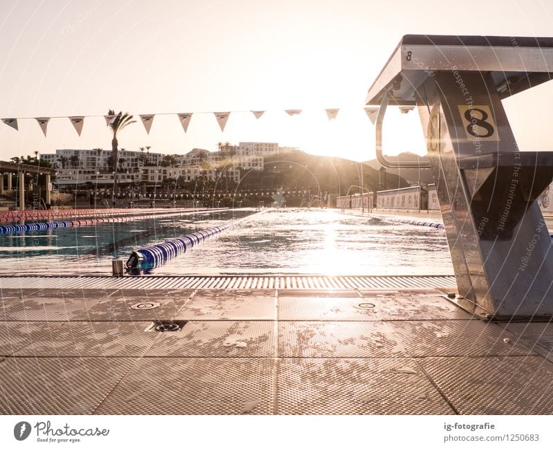 Summer Swim Training Fitness Swimming & Bathing Sports Aquatics Track and Field Swimming pool Movement To enjoy Yellow Gold Water training Early fall Sunrise