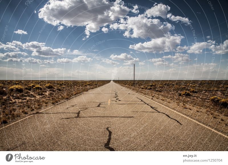 straight Vacation & Travel Adventure Far-off places Freedom Summer Summer vacation Nature Landscape Sky Clouds Horizon Sunlight Climate change Drought Bushes