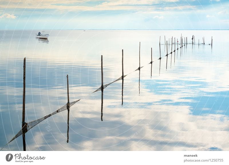 Fishing in the fjord Fishing (Angle) Summer Summer vacation Exhibition Work and employment Catch Authentic Maritime Beautiful Soft Blue White Serene Patient