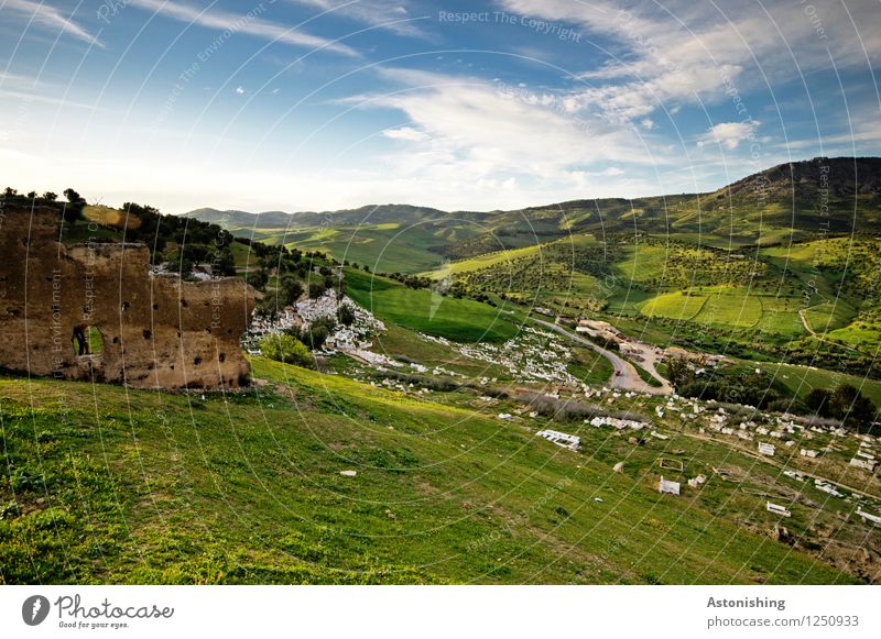 Landscape around Fès Environment Nature Plant Sky Clouds Horizon Sunrise Sunset Summer Weather Beautiful weather Tree Grass Bushes Meadow Hill Rock Fez Morocco