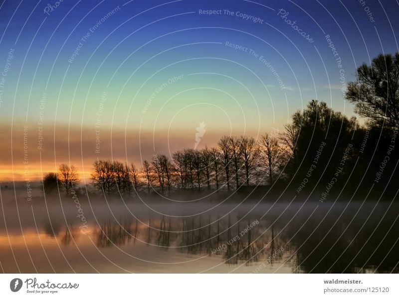 morning Fog Lake Tree Morning Twilight Morning fog Clouds Autumn Cold Romance Calm Water Sky Dawn Feisneck Müritz National Park Sadness