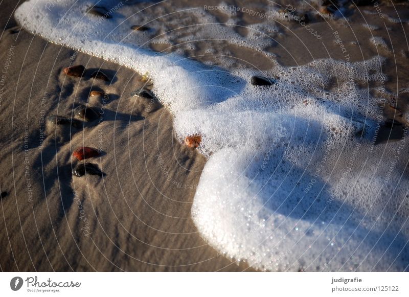 beach Beach Coast White crest Air Foam Salty Fine Wet Lake Ocean Western Beach Beautiful Environment Calm Vacation & Travel Colour Sand Stone Water Blow