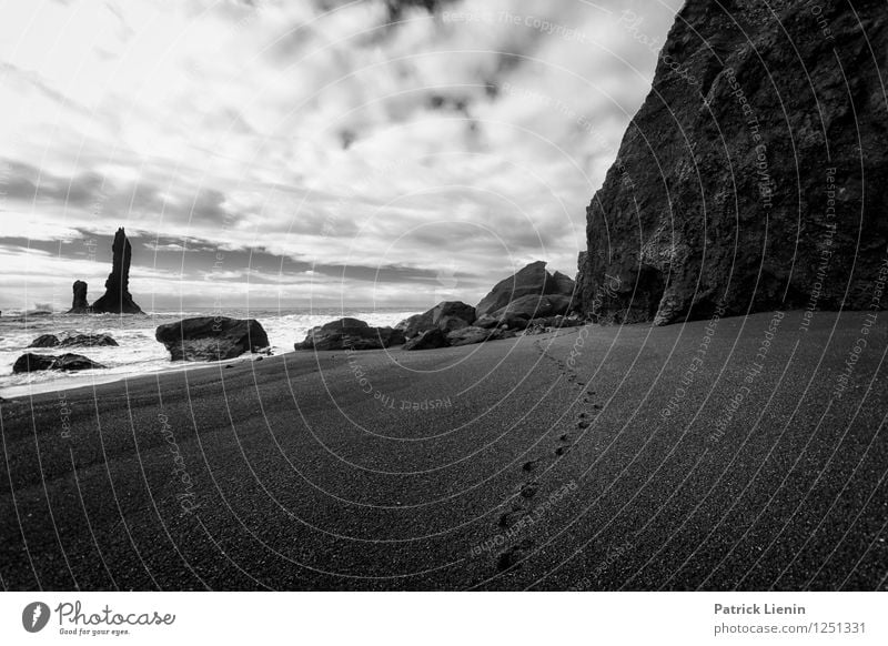 Black beach Life Harmonious Well-being Contentment Senses Relaxation Vacation & Travel Tourism Trip Adventure Far-off places Expedition Environment Nature