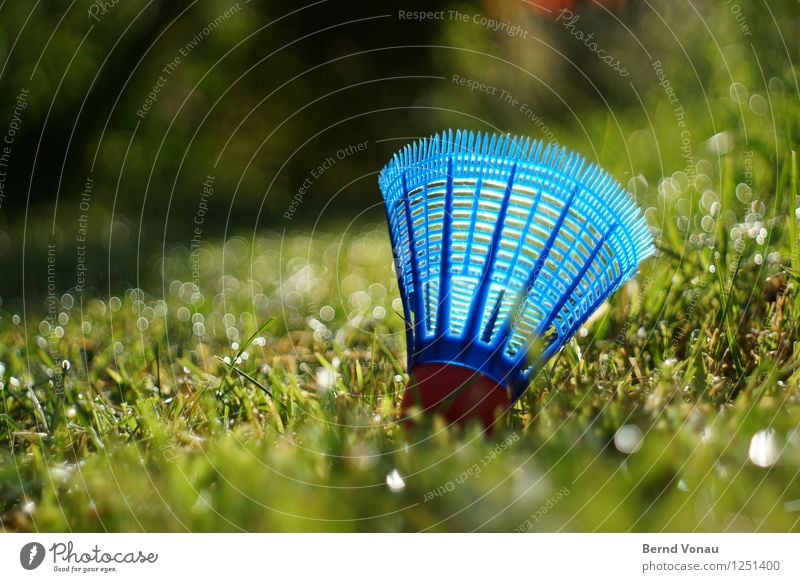 badminton Leisure and hobbies Summer Sun Garden Sports Ball sports Grass Meadow Plastic Movement Lie Bright Blue Green Red Badminton Shuttlecock Tennis rack