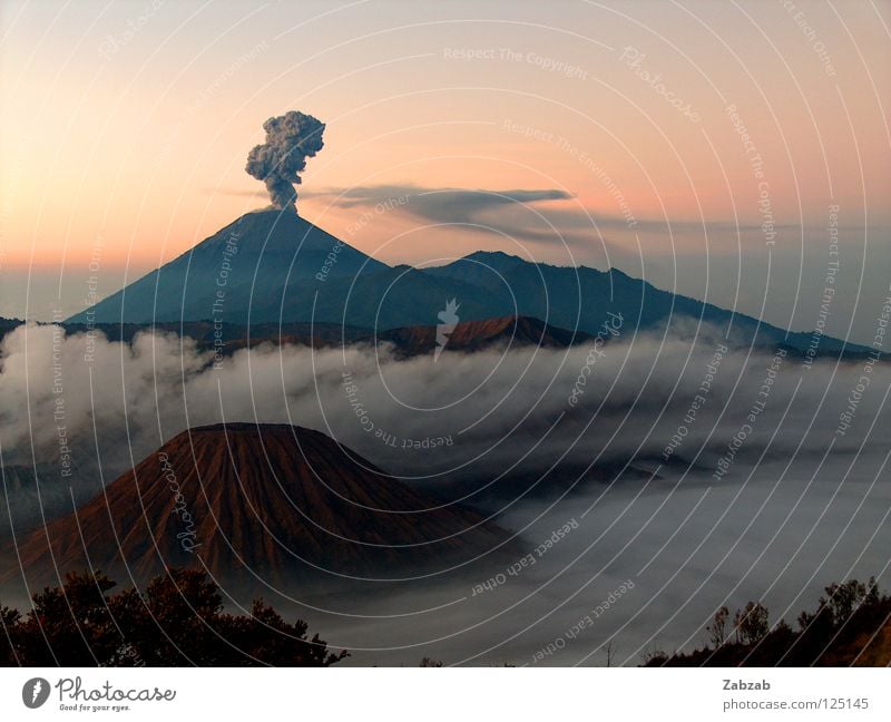 bromo Calm Serene Outbreak Asia Indonesia Java Eruption Pink Red Brown Gray Black Moody Exterior shot Fog Clouds Tree Bushes Twilight Horizon Mountain Volcano