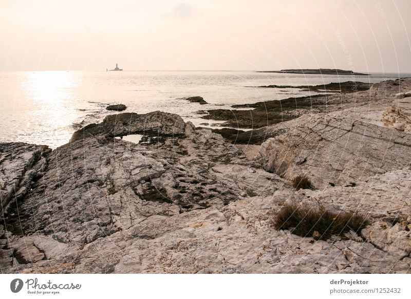 And in the distance a lighthouse Vacation & Travel Tourism Trip Far-off places Freedom Environment Nature Landscape Plant Animal Winter Beautiful weather Waves