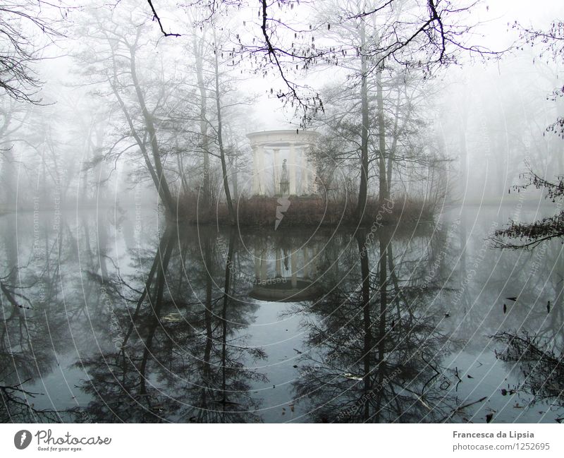 Island in the lake Water Winter Fog Park Pond Historic Cold Kitsch Blue White Loneliness Elegant Peace Contentment Horizon Idyll Culture Art Center point Nature