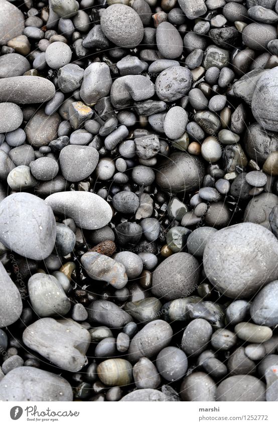 shades of black Nature Coast Ocean Black Stone Gravel beach Pebble Gray Damp Iceland Colour photo Black & white photo Exterior shot Close-up Detail