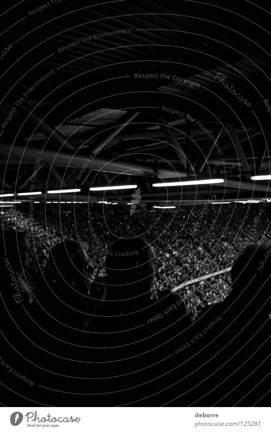 Candid shot of Rugby fans in a stadium. Fan Great Britain Italy Stadium Wales Audience Black & white photo Group Sports Playing Ball Cardiff cymru big britain