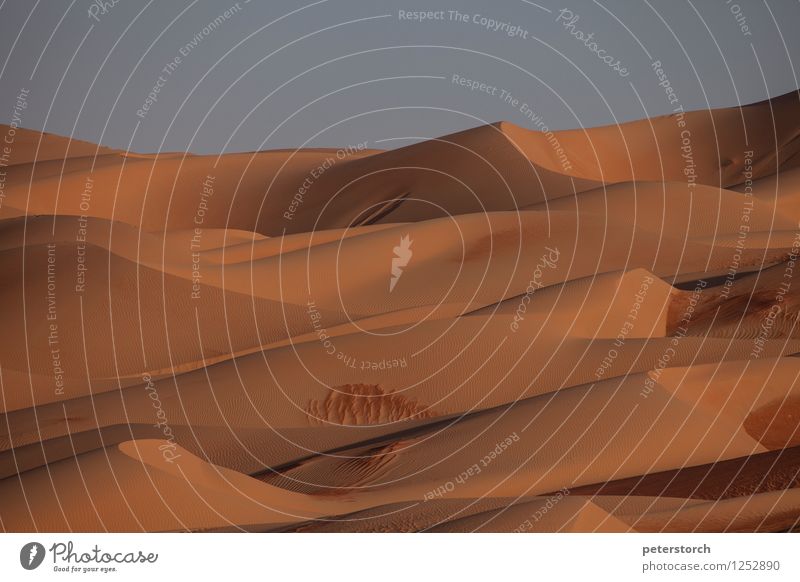 Dune 8 Vacation & Travel Adventure Far-off places Freedom Nature Landscape Sand Cloudless sky Desert Esthetic Exceptional Exotic Fantastic Round Clean Moody