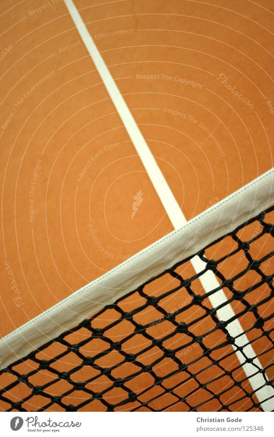 Full online Tennis Carpet Winter Reserved Tennis ball Green White Speed Playing Tennis rack 2 Service Sports Leisure and hobbies Ball sports