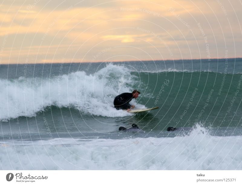 SURFING WITH THE DOLPHINS New Zealand South Island Surfer Surfboard Dolphin Ocean Green White Waves Jump Playing Natural phenomenon Exciting Aquatics Animal