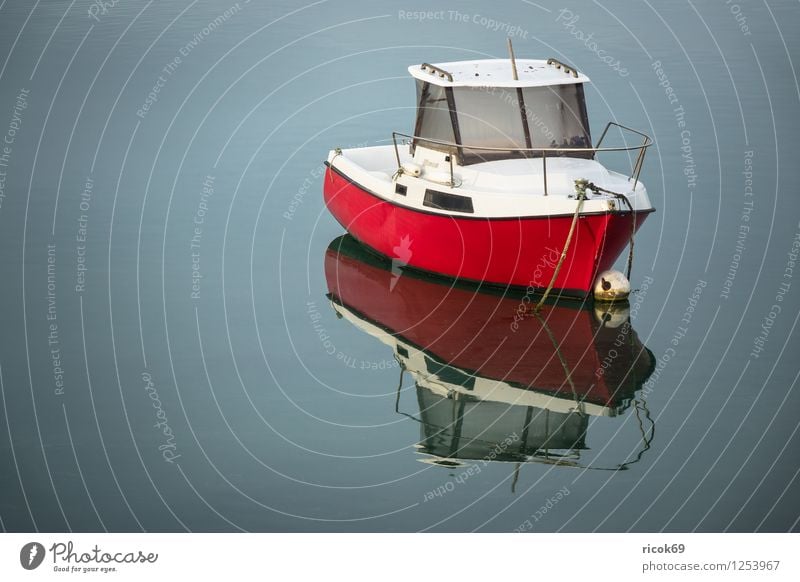 Boat in Brittany Relaxation Vacation & Travel Nature Landscape Coast Motorboat Watercraft Red Atlantic Ocean Ploumanac'h France perros guirec voyage destination