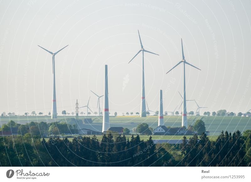 windmills Technology Energy industry Renewable energy Wind energy plant Energy crisis Nature Landscape Climate change Field Forest Environment