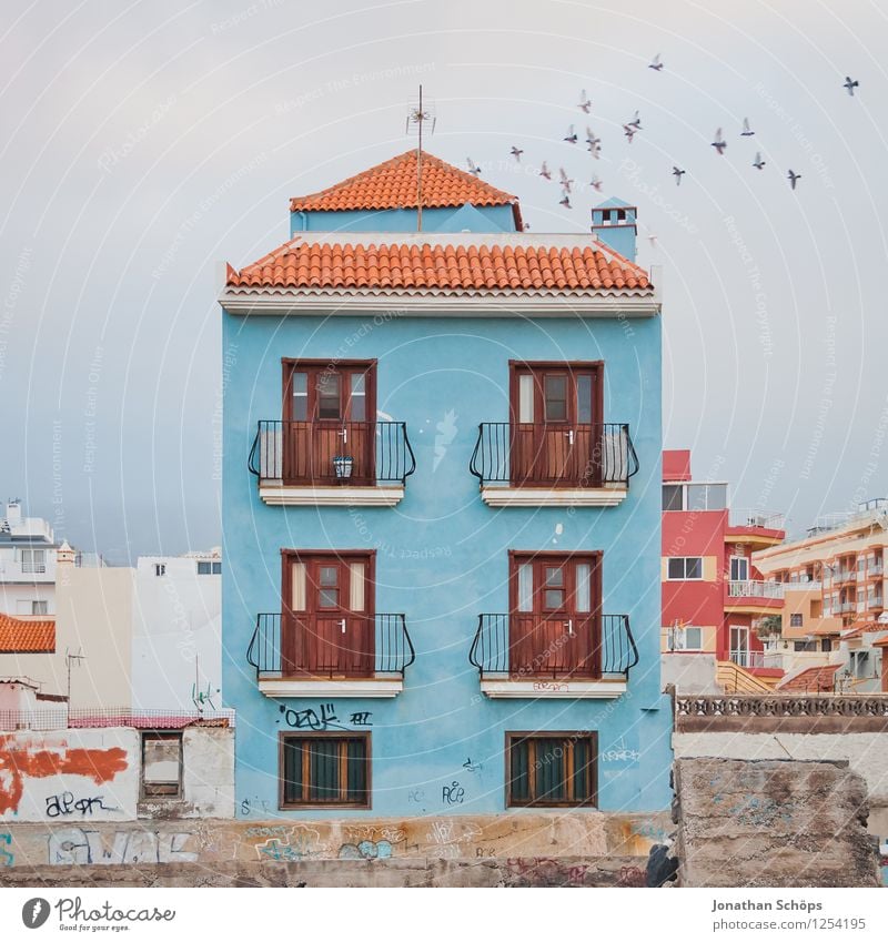 *** 800 *** Puerto de la Cruz / Tenerife XLVI Small Town Downtown Outskirts Old town Populated House (Residential Structure) Detached house Facade Window Roof