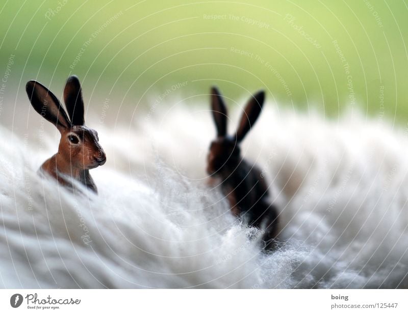 last Easter card opportunity in front of the motorway Hare & Rabbit & Bunny Easter egg Hop Kangaroo Spring Field Animal Salutation rabbit figure Easter Bunny