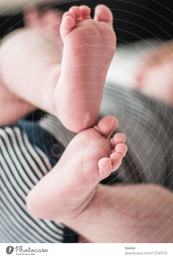 Baby Feet II Human being 1 Small 0 - 12 months Toes Vulnerable Needy Footprint Naked New Happy Meaning of life Shallow depth of field Wonderful Colour photo