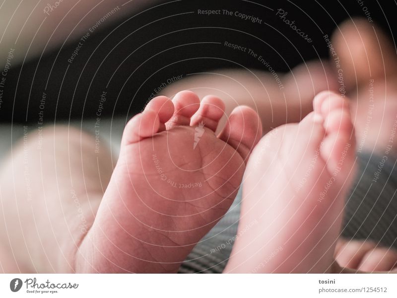 Baby feet I Human being Feet 1 0 - 12 months Small Toes Vulnerable Wonderful Footprint Naked New Happy Meaning of life Colour photo Interior shot Studio shot