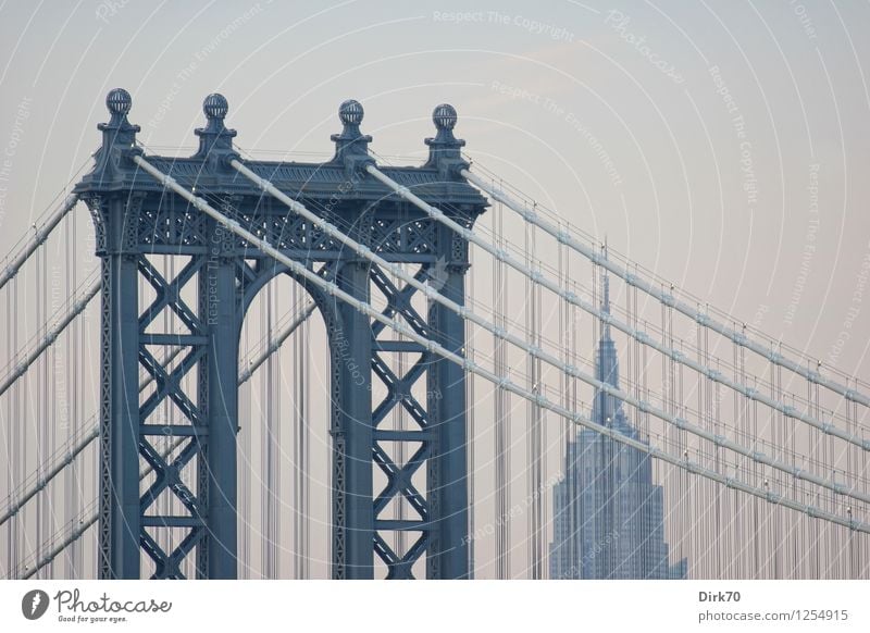 Two Icons Tourism City trip Cloudless sky Summer Beautiful weather New York City Manhattan Brooklyn High-rise Bridge Manmade structures Building Architecture