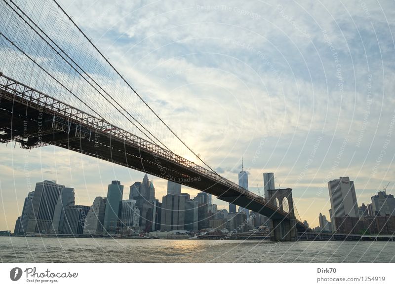 Manhattan Skyline - the Classic Tourism Far-off places Sightseeing City trip Water Clouds Sun Sunlight Summer Beautiful weather River East River New York City