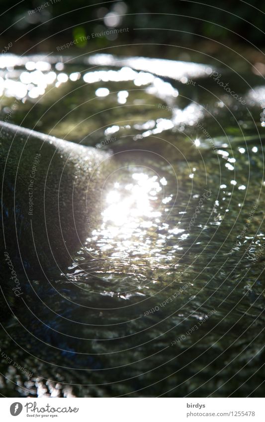 Water and Light Nature Elements Brook Glittering Illuminate Esthetic Exotic Fluid Positive Idyll Pure Calm Blur Stone Flow Colour photo Subdued colour