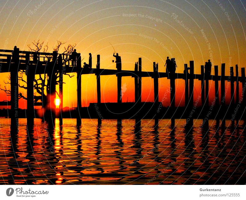 Burmese Bridge Myanmar Mandalay Teak Wood Wooden bridge Asia Dusk Lake Back-light Light Red Tree u-leg Pole Evening Water Shadow Silhouette Sun Human being