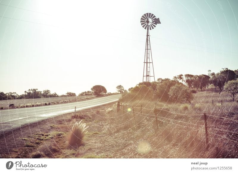 Australia as in the catalogue Far-off places Freedom Summer Pinwheel Water pump Environment Nature Landscape Cloudless sky Sunlight Field Steppe Grassland