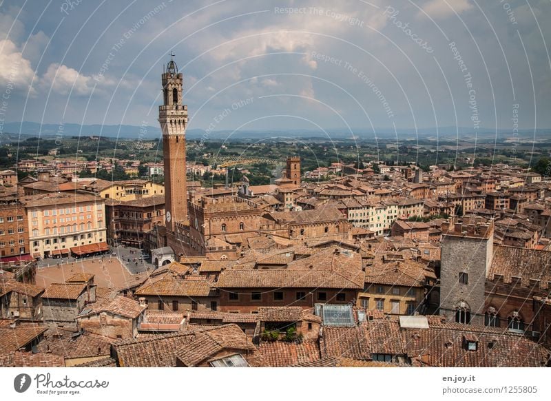 from the plane... Vacation & Travel Tourism Trip Far-off places Sightseeing City trip Summer Summer vacation Sky Storm clouds Horizon Climate Weather Siena