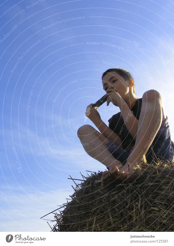 The boy with the harmonica Boy (child) Child Field Harmonious Musician Straw Light heartedness Go under Hay bale Contentment Concert mouth organ Freedom file