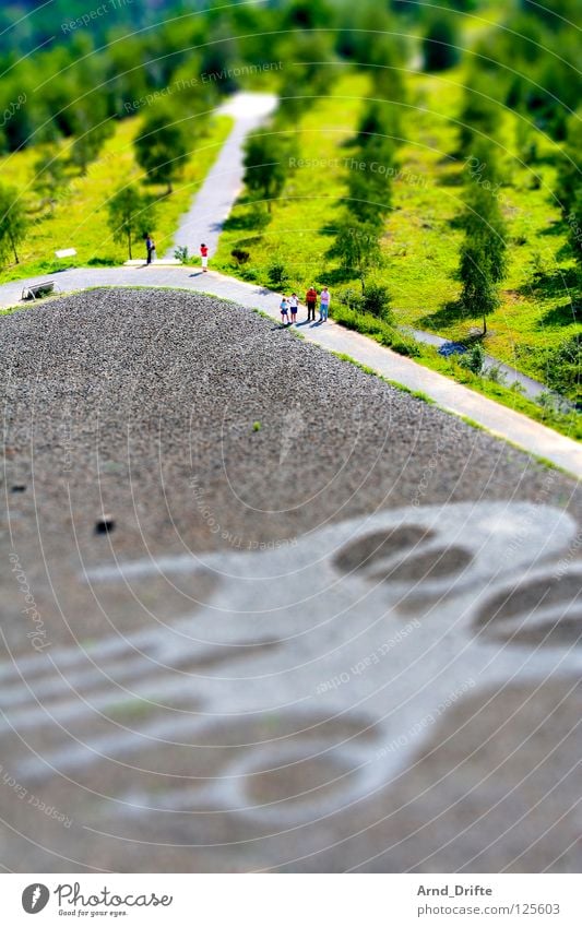 Mini Landscape II Tilt-Shift Small Miniature Bird's-eye view Oberhausen The Ruhr North Rhine-Westphalia Green Leisure and hobbies To go for a walk Tree Forest