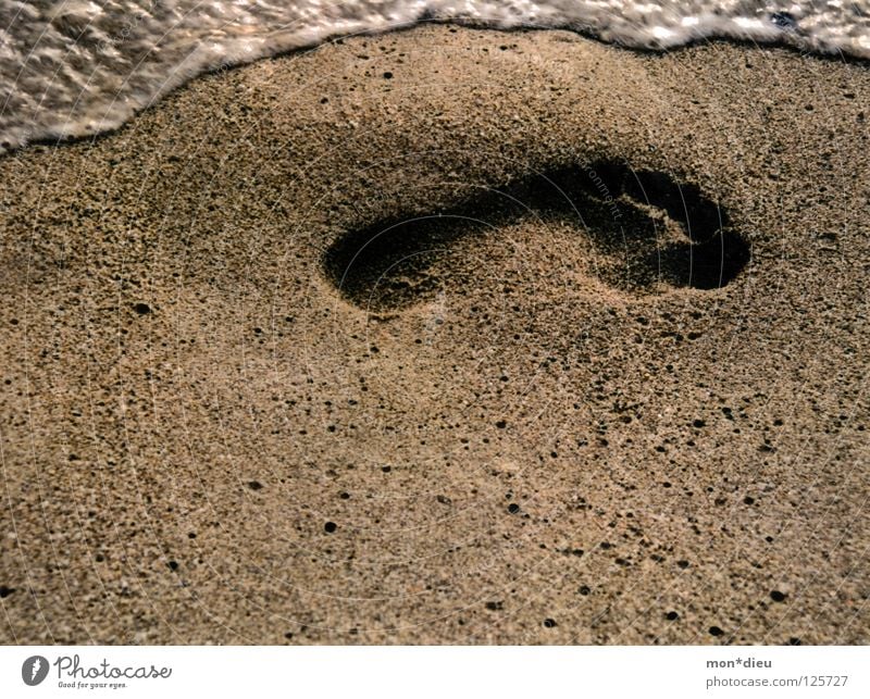 happy without shoes Barefoot Footprint Tracks Ocean Beach Vacation & Travel Relaxation Waves Foam Summer White crest Coast Earth Sand Feet Water