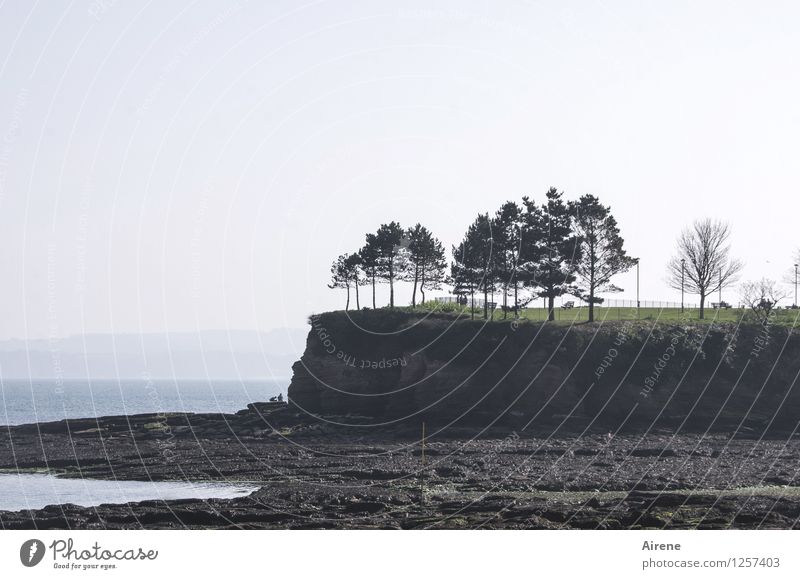 Free (time) area Human being 2 Landscape Tree Coast Beach Cliff Low tide break-off edge Swimming & Bathing Relaxation To dry up Dark Dry Blue Gray Green Serene