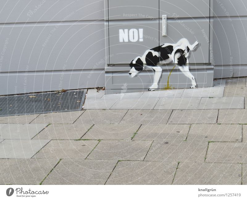 territory marker House (Residential Structure) Wall (barrier) Wall (building) Animal Pet Dog 1 Distributor Graffiti Make Stand Funny Natural Town Gray Black