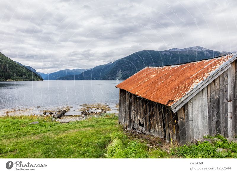 Boat shed at the Storfjord Relaxation Vacation & Travel Mountain Water Clouds Grass Fjord Old Idyll Nature Tourism Boathouse Norway North Dal Møre og Romsdal