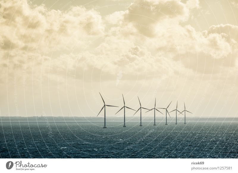 windmills Sun Wind energy plant Nature Landscape Clouds Coast Baltic Sea Ocean Energy Environment Sky Colour photo Subdued colour Exterior shot Deserted Day