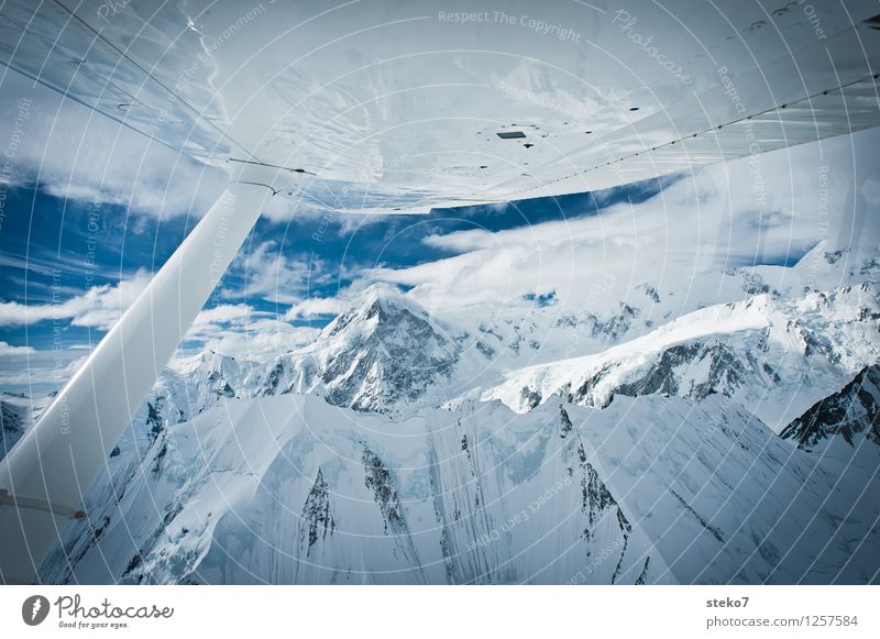 Glacier Land VI Mountain Peak Snowcapped peak In the plane Flying Gigantic Glittering Cold Blue White Loneliness Pure Yukon Kluane National Park Ice