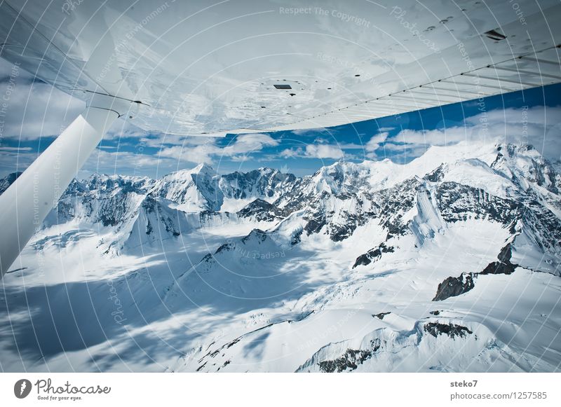 Glacier Land V Mountain Peak Snowcapped peak Flying Gigantic Glittering Cold Blue White Loneliness Far-off places Untouched Yukon Kluane National Park Ice